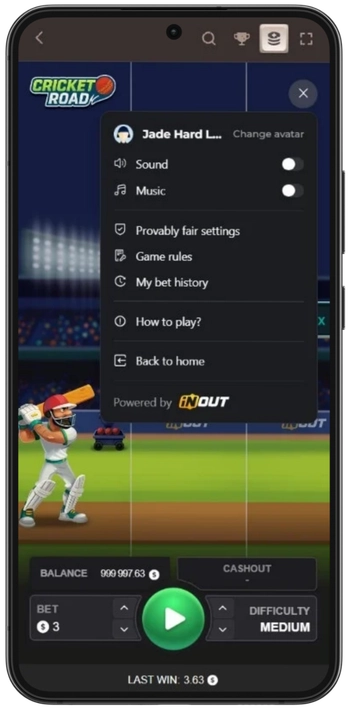 Opzioni di gioco in Cricket Road: impostazioni della puntata e del livello